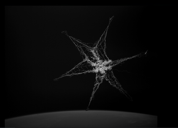 Net successfully snares space debris